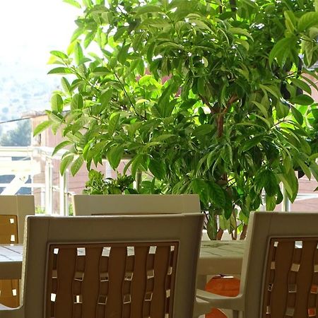 Cozy Central Apartment Ксамил Екстериор снимка